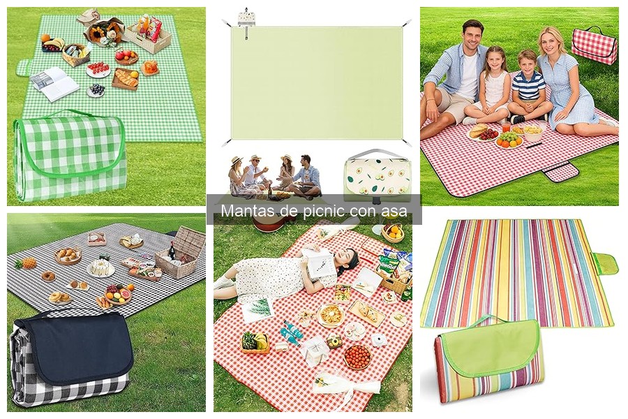 Manta de picnic con asa: características y beneficios