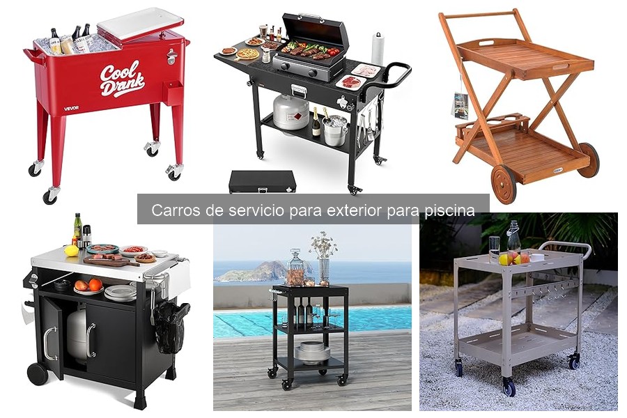 Tipos de carros de servicio para piscina: guía completa